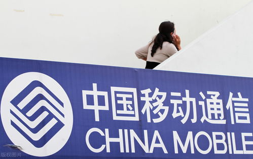 2022年 中國移動及員工在信息咨詢服務領域的機遇與展望